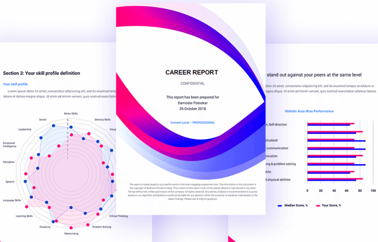 Career Report