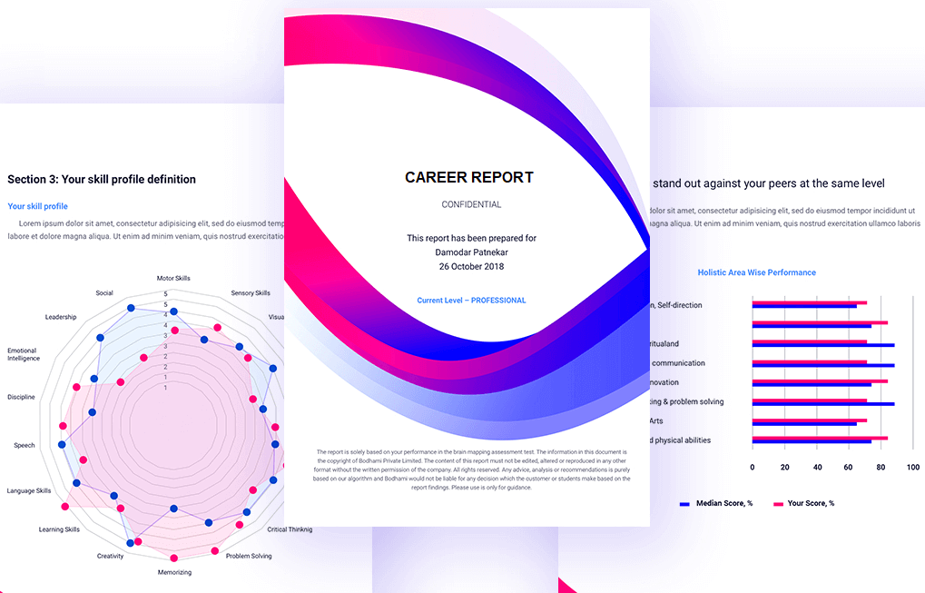 Career Report